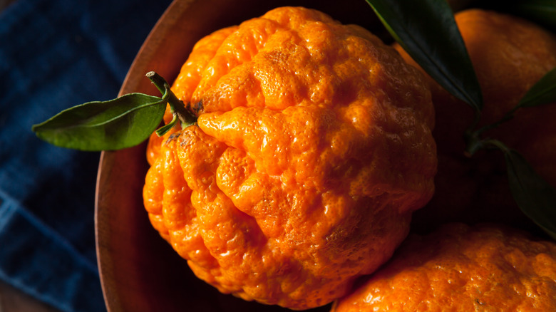 Golden Nugget Mandarin