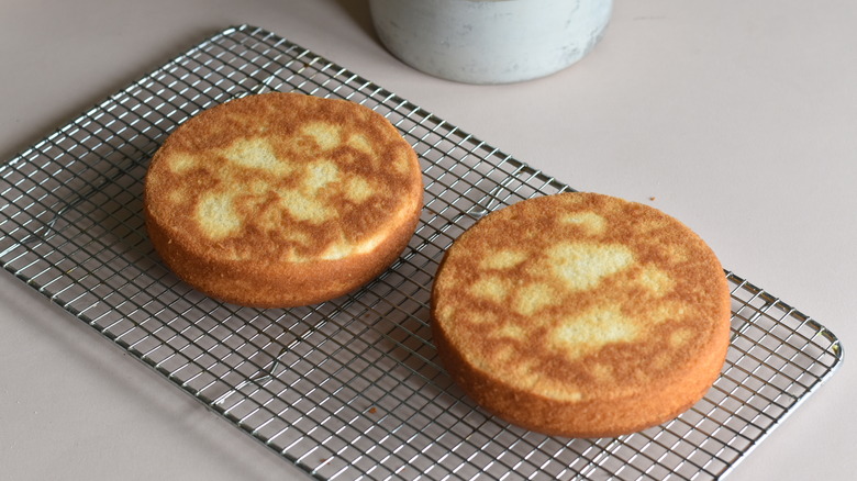 vanilla cake layers on rack