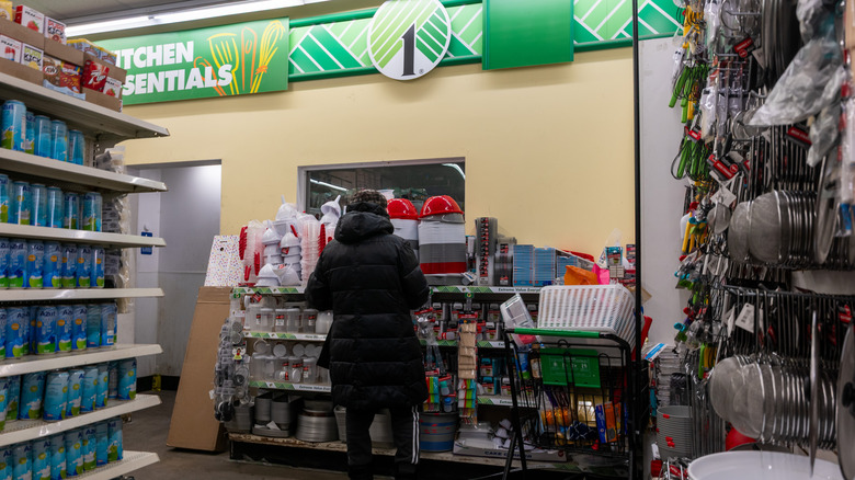 Person shopping at a Dollar Tree
