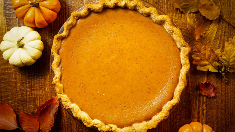 pumpkin pie surrounded by mini pumpkins