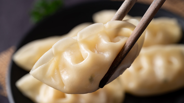 Chopsticks holding gyoza