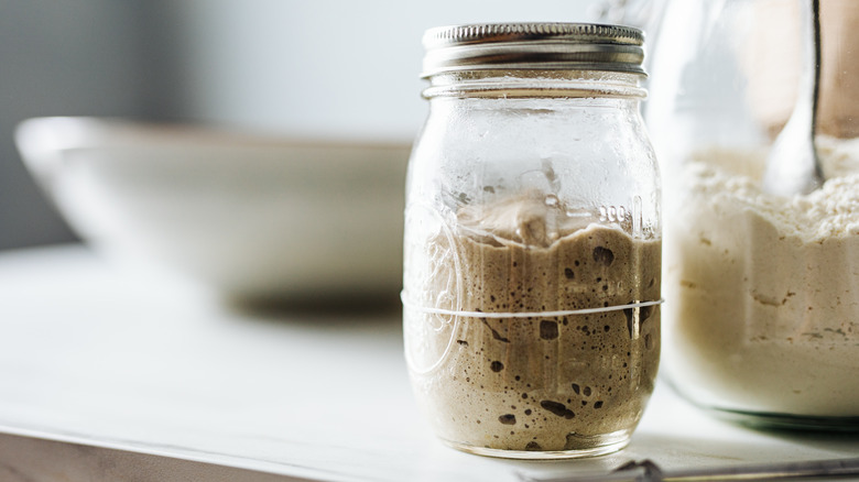 sourdough starter in jar