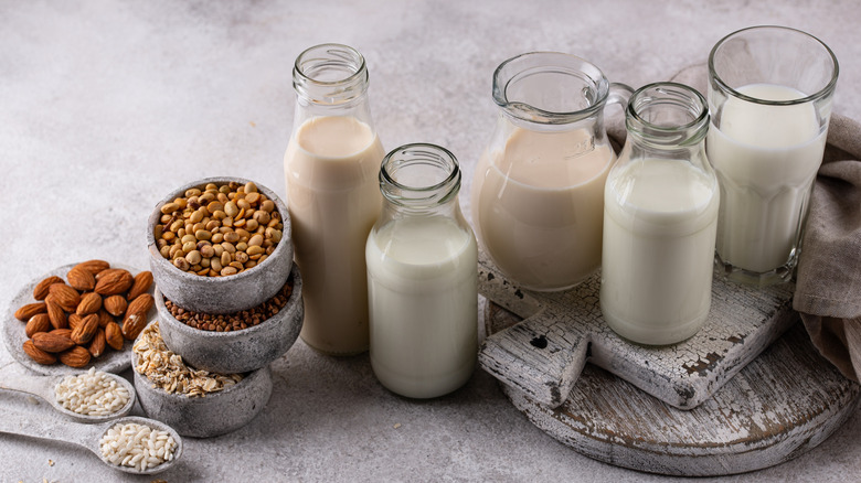 A selection of alternative milks in glass jars sit beside bowls of nuts, oats, and rice