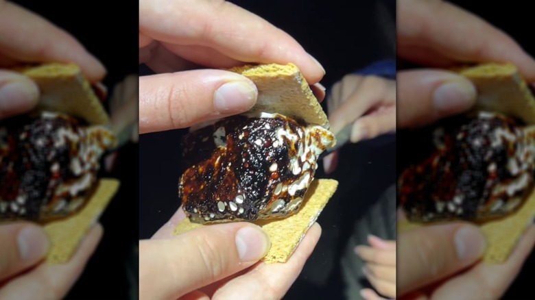 Hands holding Martha Stuart's s'more