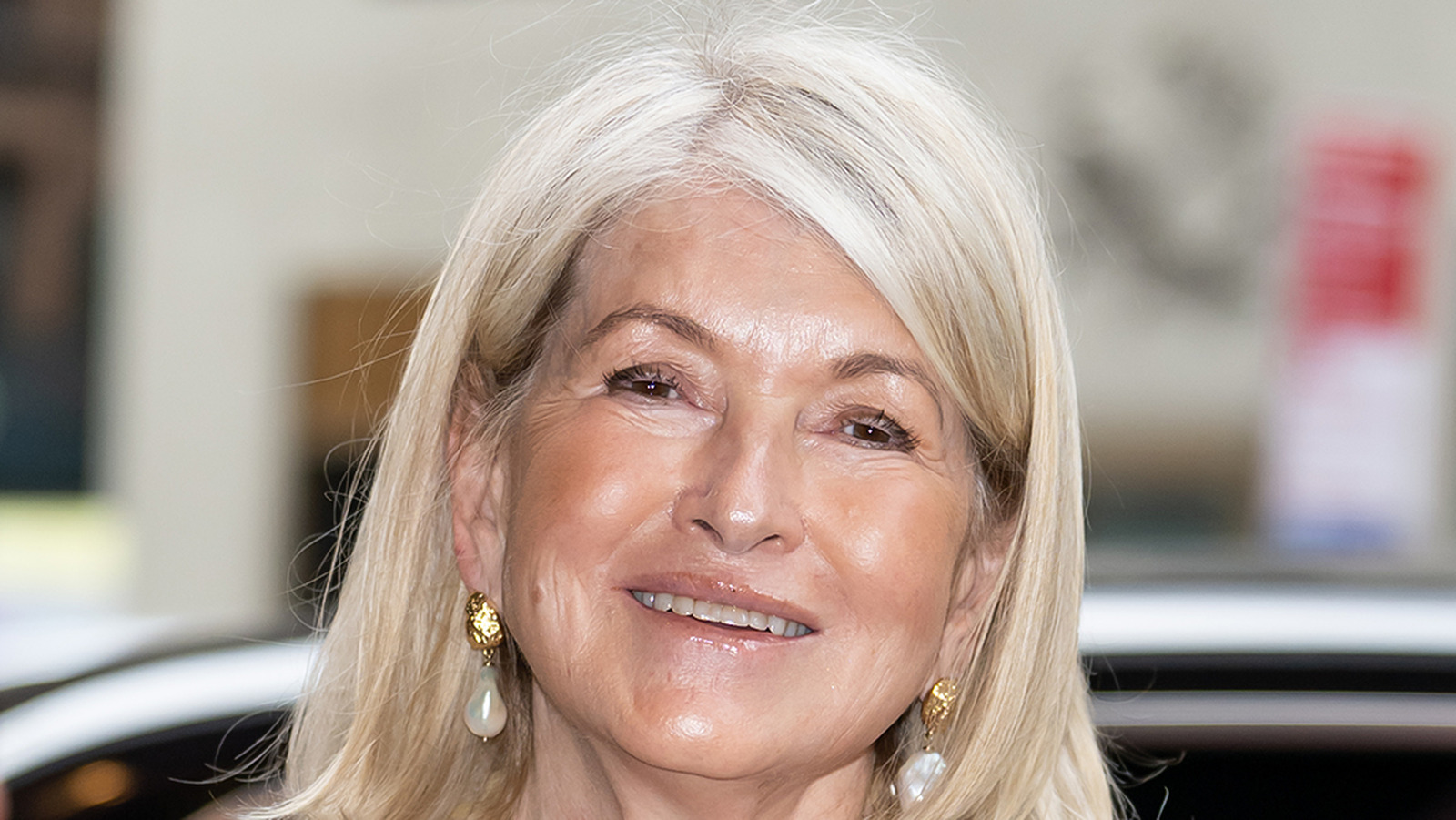 <a href="https://www.foodrepublic.com/1953750/martha-stewart-favorite-childhood-ice-cream-peach/" target="_blank">Martha Stewart’s Favorite Childhood Ice Cream Uses Up This Overripe Fruit</a>