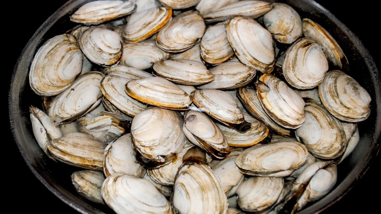 clams soaking in water to clean debris
