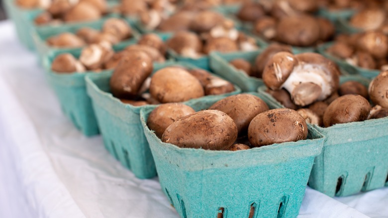 Boxes of cremini mushrooms
