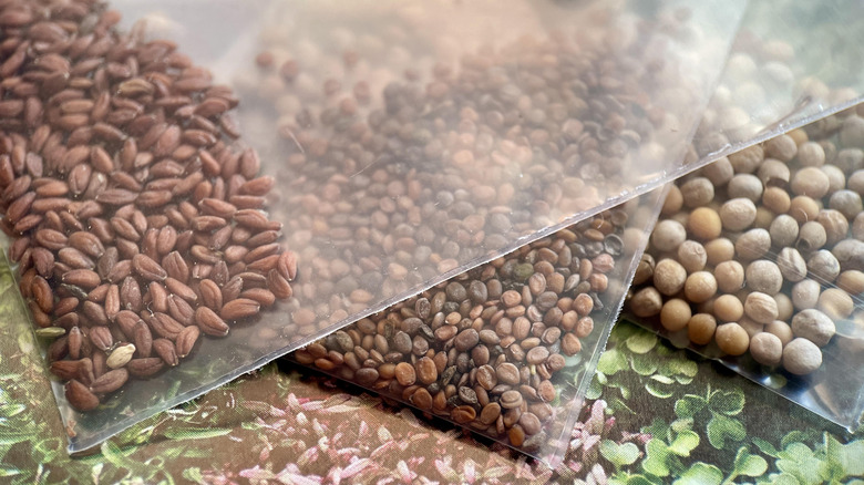 Assorted seeds in plastic packets.