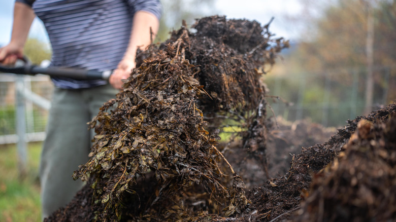 Gardener working a compost pile.