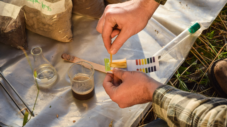 Agronomy specialist testing soil conditions.