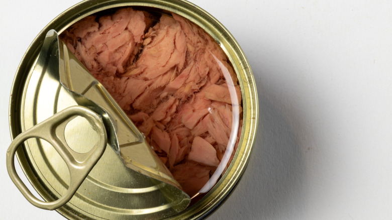 An open can of tuna