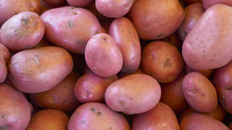 Close-up of piled red potatoes in various sizes