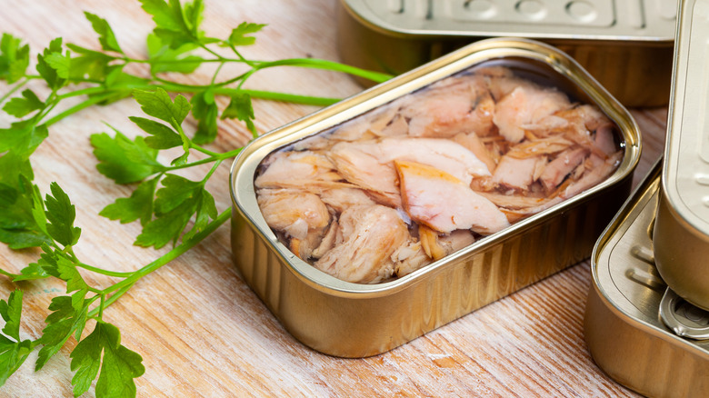Canned tuna belly in olive oil