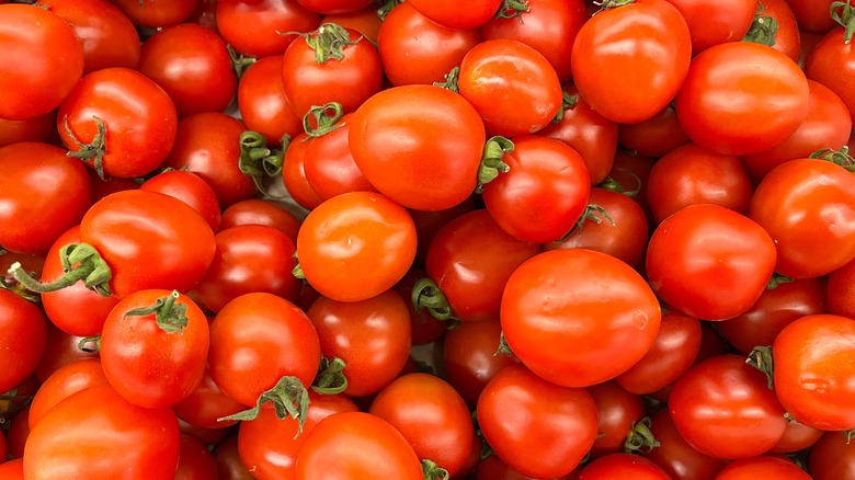 A collection of fresh tomatoes