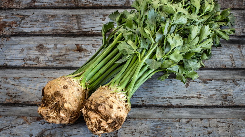 Fresh celery roots