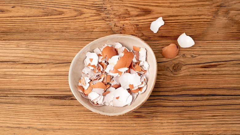brown eggshells in bowl