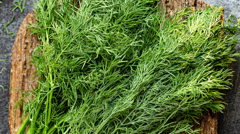 Fresh dill on wooden board