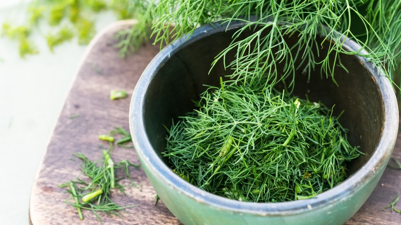 Fresh cut dill in sunlight