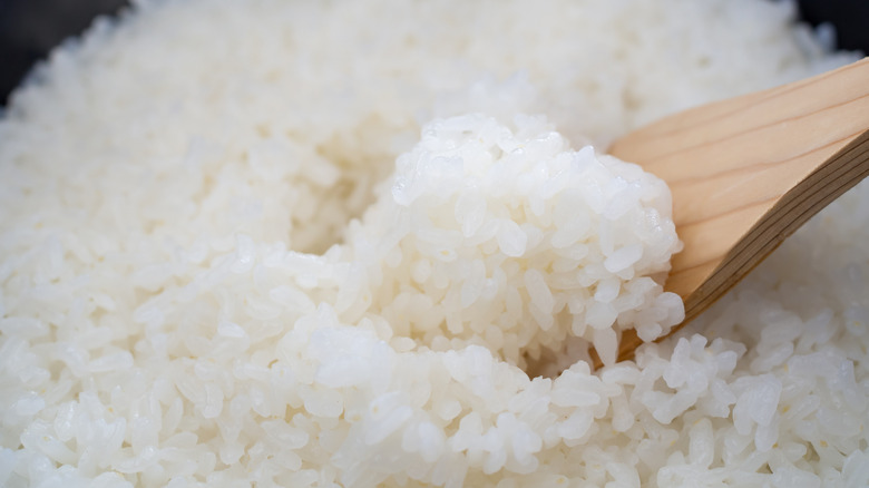 fresh rice scooped by wooden spoon