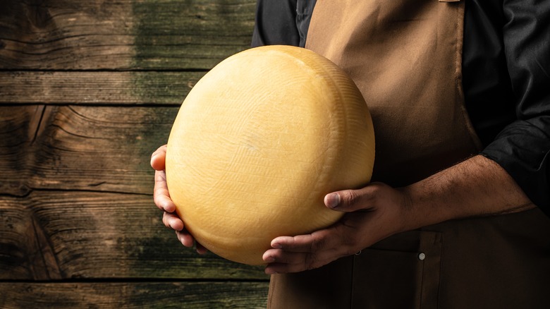 cheese specialist holding a wheel