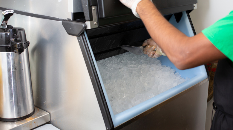 A restaurant employee scoops ice from a machine