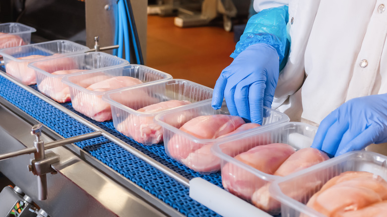 worker at conveyor belt of raw chicken in containers
