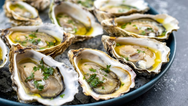 Oysters topped with herbs on a chilled plate