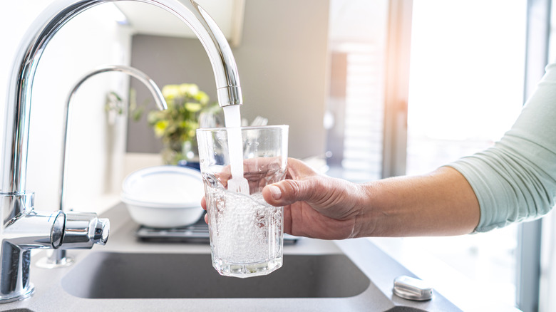 Hot Water Is The Key To Crystal Clear Ice Cubes