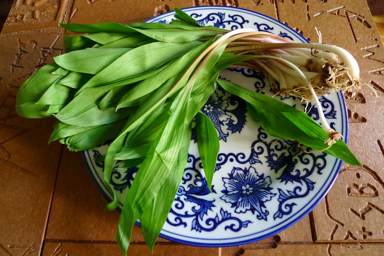 Ladies and gentlemen, it's ramp season!