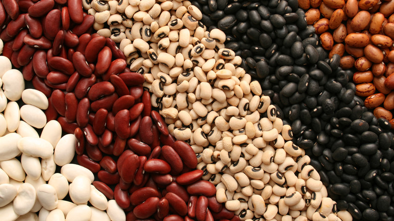 A variety of dried beans