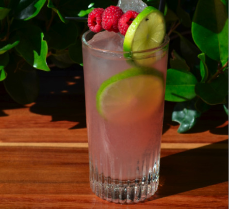 Nolet's Gin Silver Raspberry Buck Cocktail Recipe