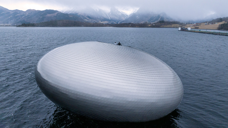 Salmon Eye Iris restaurant Norway in fjord water