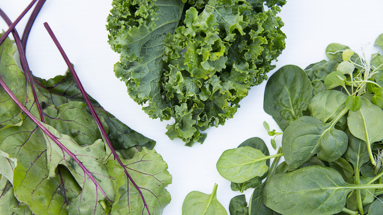 Assortment of leafy greens including kale, spinach, and rainbow chard