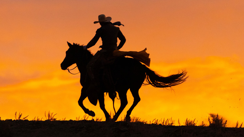 A cowboy on a horse.