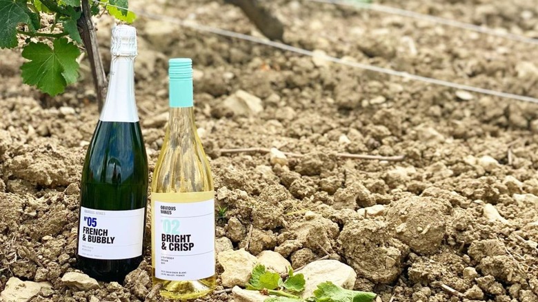 Two bottles of Obvious Wines