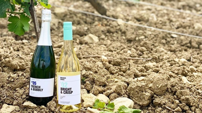 Two bottles of Obvious Wines