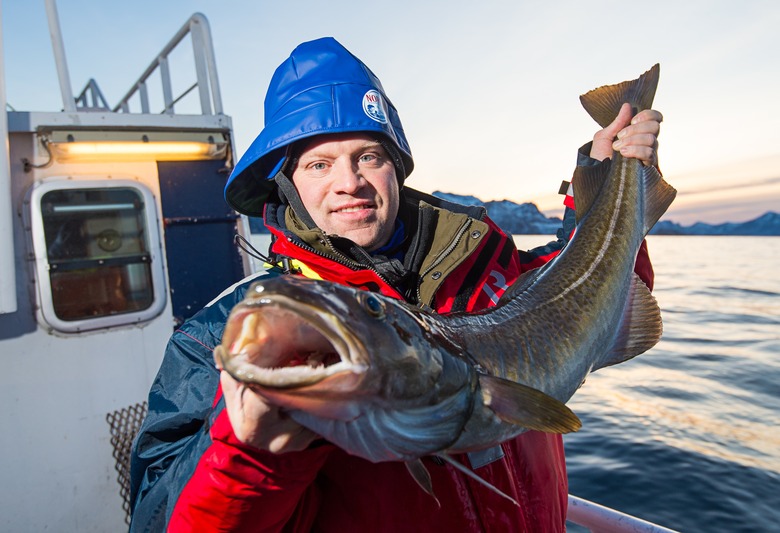 Ben Pollinger is currently featuring Skrei — Norwegian migratory cod — on his menu at Oceana.