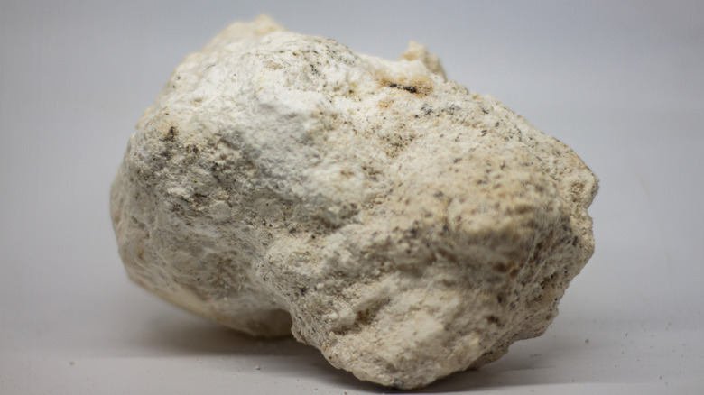 Harvested hunk of rocky ambergris