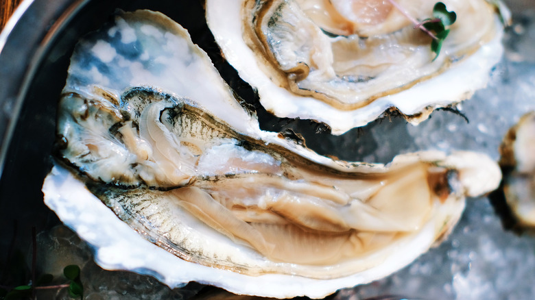 Oysters on the half shell resting on a bed of ice
