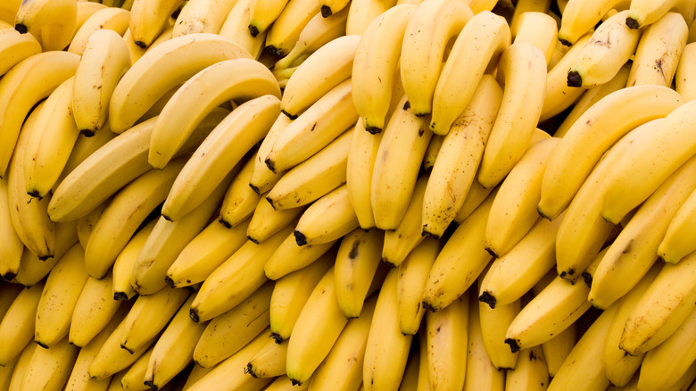 bunches of yellow bananas