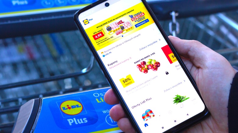 person using Lidl app while shopping