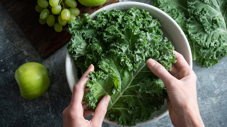 A home gardener gathers the kale they harvested to wash in a bowl of water