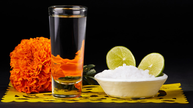 tequila pictured in shot glass