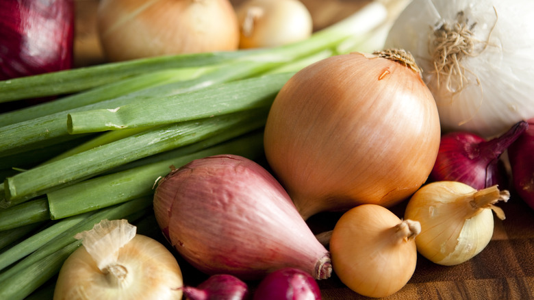 vegetables from the Allium genus