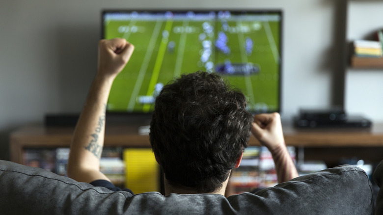 A man raises his fist as he watches football on TV.