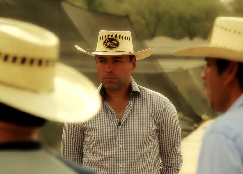 Oscar De La Hoya, Tequila Ambassador