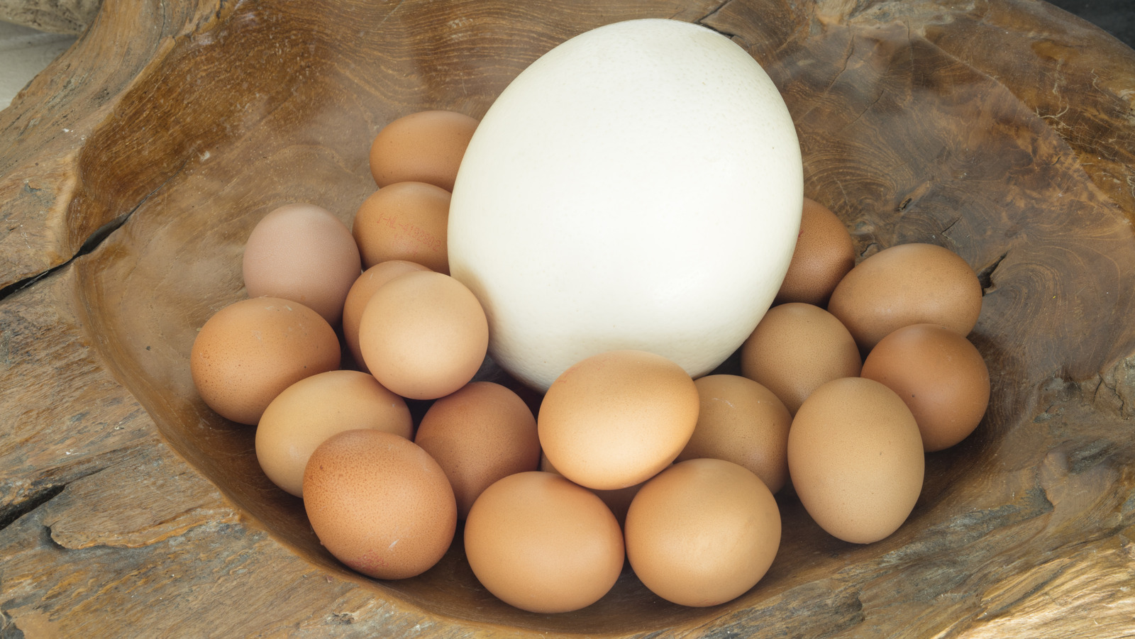 Ostrich Vs. Chicken Eggs: Which Is More Nutritious?