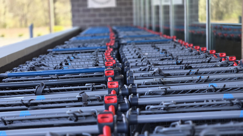 Aldi Shopping Carts