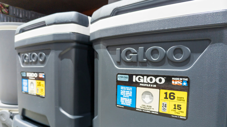 A close up of two gray 16-quart Igloo coolers with white lids