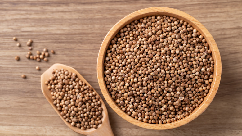 Coriander seeds in a wooden bowl with a spoon full of seeds.